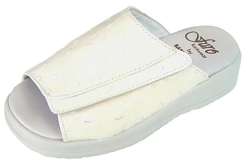 B-232 - Ivory Patent Slides